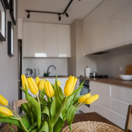 Struga Modern - Blisko Centrum Apartment