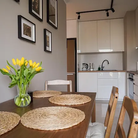 Struga Modern - Blisko Centrum Apartment *